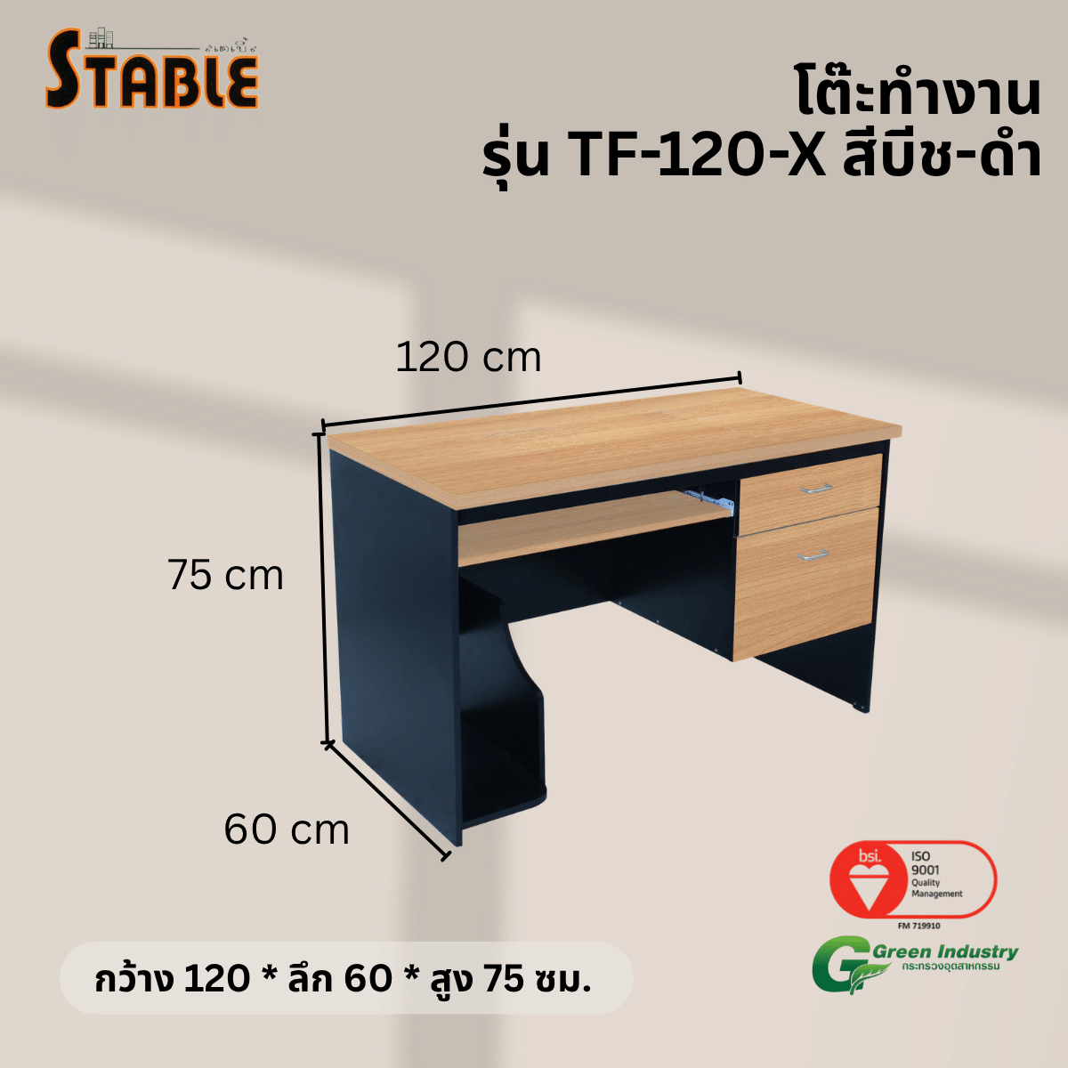 โต๊ะคอมพิวเตอร์ STABLE รุ่น TF-120-X 120 ซม. สีบีช-ดำ_2